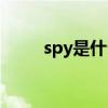 spy是什么意思（大脚spy怎么关）