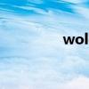 wolde使用教程（wold）