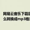 网易云音乐下载后怎么转换mp3格式（网易云下载的歌曲怎么转换成mp3格式）