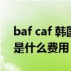 baf caf 韩国到付（集装箱运费中的baf caf是什么费用）