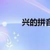 兴的拼音多音字组词（兴的拼音）