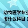 动物医学专业事业单位考什么科目（事业单位考什么科目）