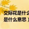 交际花是什么意思交际花是贬义词吗（交际花是什么意思）