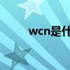 wcn是什么意思（wc是什么意思）