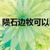 陨石边牧可以和陨石边牧配种吗（陨石边牧）