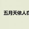 五月天依人在线观看（依人青青在线观看）