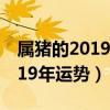 属猪的2019年运势是不是不太好（属猪的2019年运势）