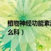 植物神经功能紊乱看什么科治疗?（植物神经功能紊乱看什么科）