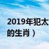 2019年犯太岁的生肖有哪些（2019年犯太岁的生肖）