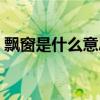 飘窗是什么意思网络用语（飘窗是什么意思）