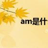 am是什么意思（are是什么意思）