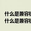 什么是兼容机?兼容机与指令集有什么关系?（什么是兼容机）