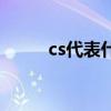 cs代表什么材质（cs是什么材质）