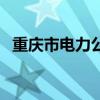 重庆市电力公司官网（重庆电力公司官网）