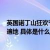 英国诺丁山狂欢节暴力事件再起 约75名警察遇袭 现场垃圾遍地 具体是什么情况?