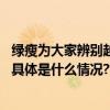 绿瘦为大家辨别越吃越胖的“健康食物”从吃开始少走弯路 具体是什么情况?