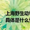 上海野生动物园大猩猩“越狱”？官方回应 具体是什么情况?