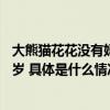 大熊猫花花没有妈妈了大熊猫“成功”在兽舍内死亡终年23岁 具体是什么情况?