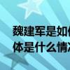 魏建军是如何领导长城汽车向上发展的？ 具体是什么情况?