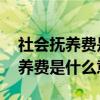 社会抚养费是什么意思 要交多少钱（社会抚养费是什么意思）