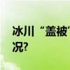 冰川“盖被”无法持续的试验 具体是什么情况?