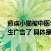 瘫痪小猫被中医学生1秒接回错位骨头网友：这是最强的招生广告了 具体是什么情况?