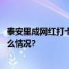 泰安里成网红打卡地宣南文化博物馆导览剧获好评 具体是什么情况?