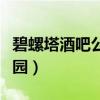 碧螺塔酒吧公园蹦迪几点开始（碧螺塔酒吧公园）