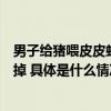 男子给猪喂皮皮虾螃蟹当事人：让它们吃好点准备养肥了吃掉 具体是什么情况?