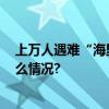 上万人遇难“海里有2000具遗体”！高官被停职 具体是什么情况?