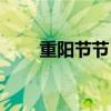 重阳节节日简报（重阳节简报内容）