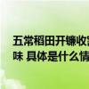 五常稻田开镰收割和奥运冠军一起探索金龙鱼6步鲜米的美味 具体是什么情况?