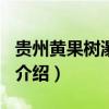 贵州黄果树瀑布介绍300字（贵州黄果树瀑布介绍）