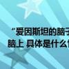 “爱因斯坦的脑子”销量近10万！店家：付款后自动长到大脑上 具体是什么情况?