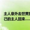 主人意外去世黄狗留守数月被救助知情人：它一直在等待自己的主人回来...... 具体是什么情况?