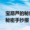 宝葫芦的秘密手抄报简单 一等奖（宝葫芦的秘密手抄报）