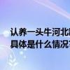 认养一头牛河北制造基地正式投产 全产业链布局更加完善 具体是什么情况?