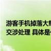 游客手机掉落大熊猫捡起来就啃：已带回检查身体会和游客交涉处理 具体是什么情况?