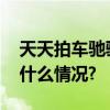 天天拍车驰骋二手车江湖的生存之道 具体是什么情况?