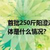 首批250斤阳澄湖大闸蟹抵京 首次采用AI点码防伪技术 具体是什么情况?