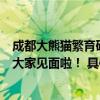 成都大熊猫繁育研究基地发布花花最新视频花花不久就能和大家见面啦！ 具体是什么情况?