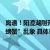 离谱！阳澄湖刚开捕蟹卡就37天内提不了货？专家详解“纸螃蟹”乱象 具体是什么情况?