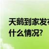 天鹅到家发布第二季度服务保障报告 具体是什么情况?