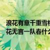 浪花有意千重雪桃李无言一队春的意思（浪花有意千里雪桃花无言一队春什么意思）