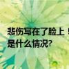 悲伤写在了脸上！小狗返乡途中晕车还被猫打了一巴掌 具体是什么情况?