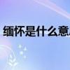 缅怀是什么意思解释一下（缅怀是什么意思）