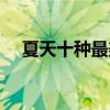 夏天十种最美的花（夏天有什么花图片）