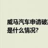 威马汽车申请破产重整 造车新势力优胜劣汰加速洗牌 具体是什么情况?