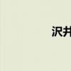 沢井亮 作品集（沢井亮）