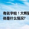 有名字啦！大熊猫“福宝”妹妹们叫“睿宝”、“辉宝” 具体是什么情况?